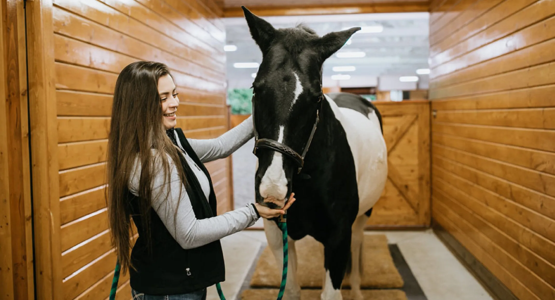 Technician with a horse Technician with a horse