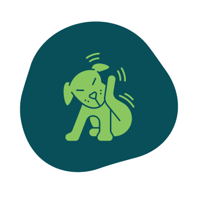 Icon of a dog scratching its ear with its hind leg
