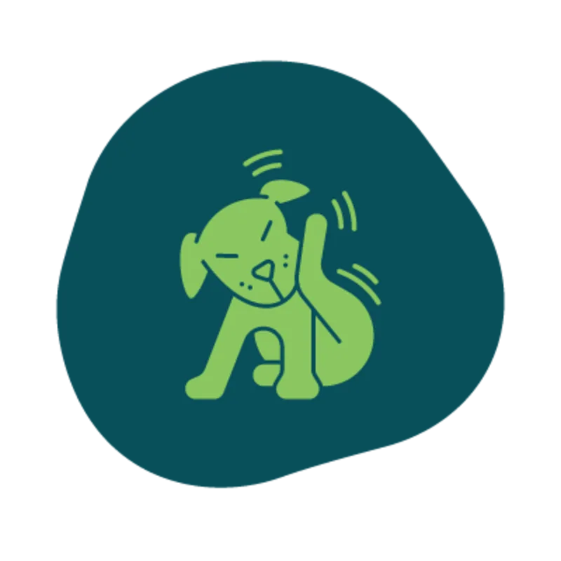 Icon of a dog scratching its ear with its hind leg Icon of a dog scratching its ear with its hind leg
