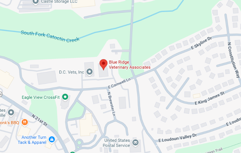 Blue Ridge Veterinary Associates map