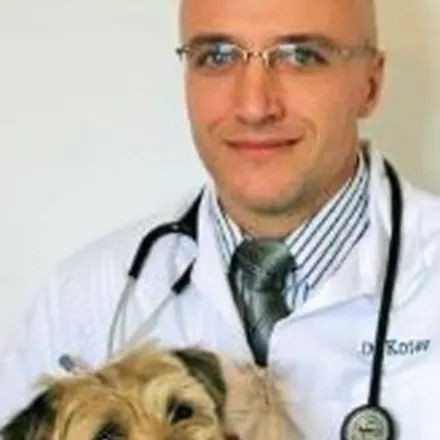 Dr. Emanoel Kotev holding small dog at Lake Street Animal Hospital