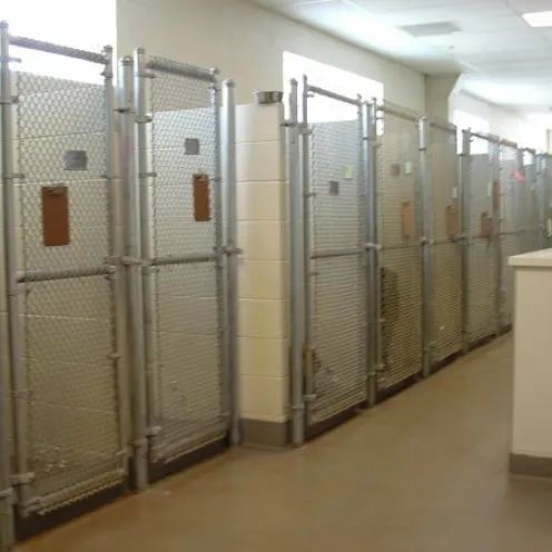 Windhaven Veterinary Hospital Boarding Area and large kennels Windhaven Veterinary Hospital Boarding Area and large kennels