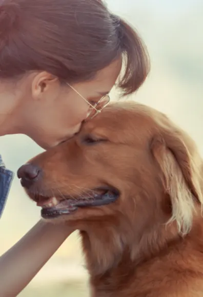 Little girl laying down on the grass with a cat Little girl laying down on the grass with a cat