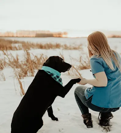 Jessica D, RVT at Hermitage Veterinary Hospital Jessica D, RVT at Hermitage Veterinary Hospital