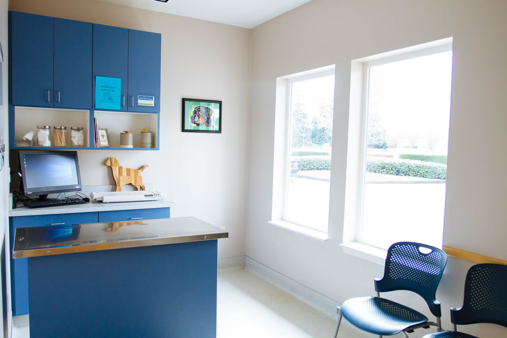 St. Francis 24 Hour Animal Hospital Exam Room