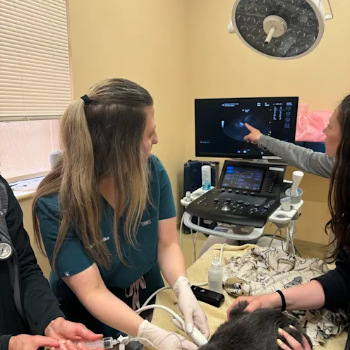 Ultrasound Ultrasound