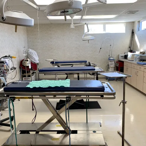 Surgery Area 3 at Camboro Veterinary Hospital