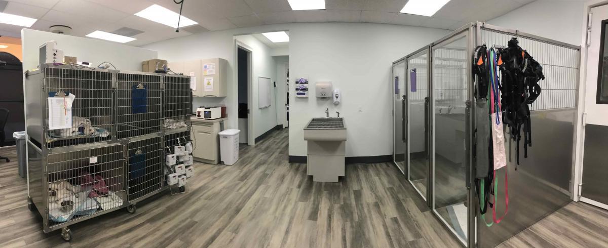 The kennels at SCAN's Naples location