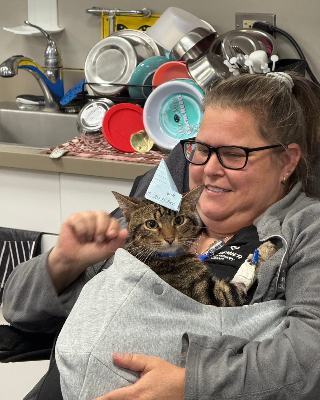 Chicago team member with a brown tabby cat