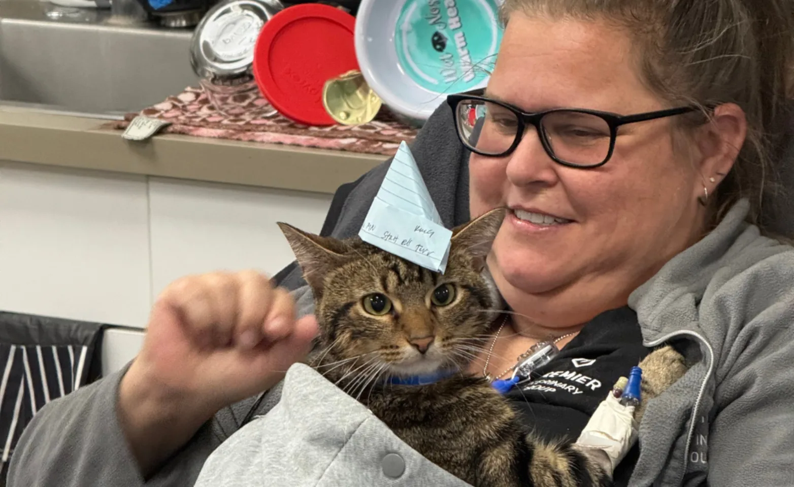 Chicago team member with a brown tabby cat Chicago team member with a brown tabby cat