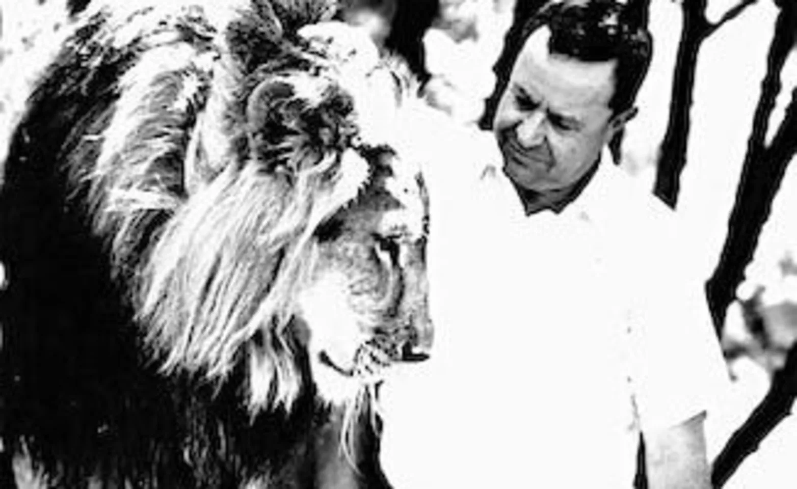Dr. Robert Miller with a Lion Dr. Robert Miller with a Lion