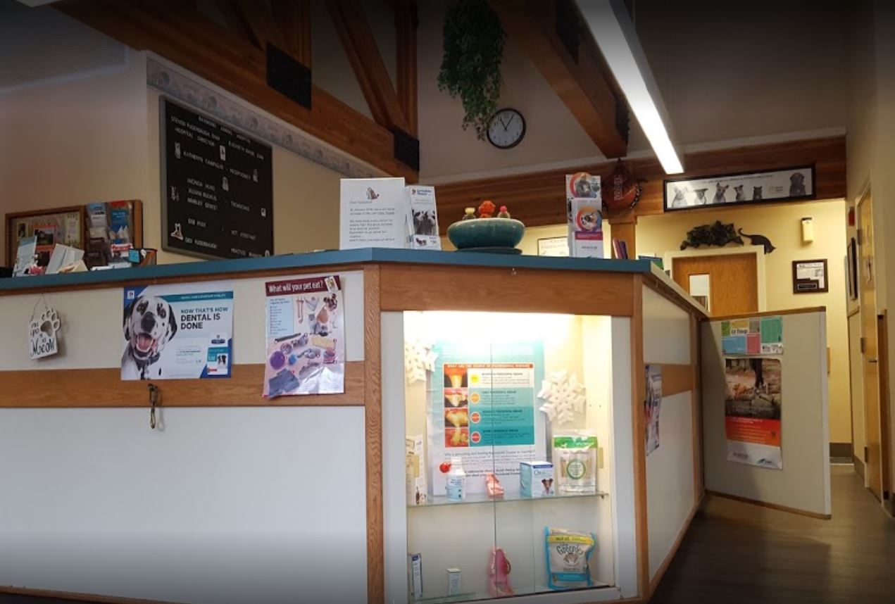 Raymond Animal Hospital's front lobby where the reception will greet you.