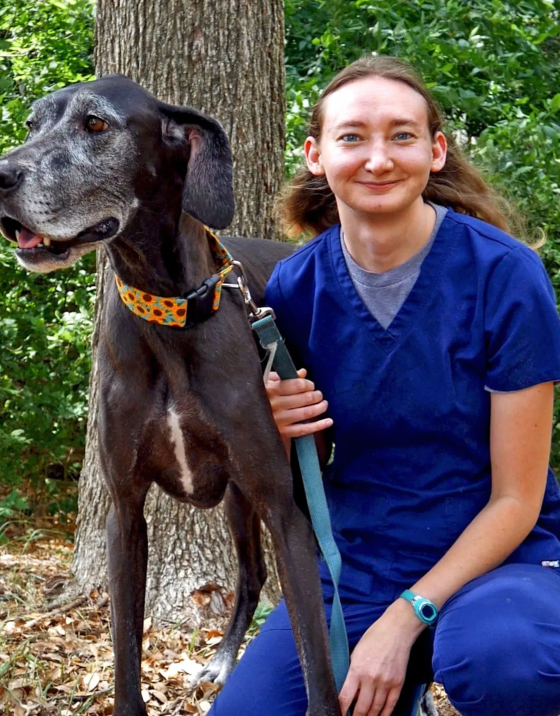 Stephanie, Vet Tech in Travis Country Vet Hospital Stephanie, Vet Tech in Travis Country Vet Hospital
