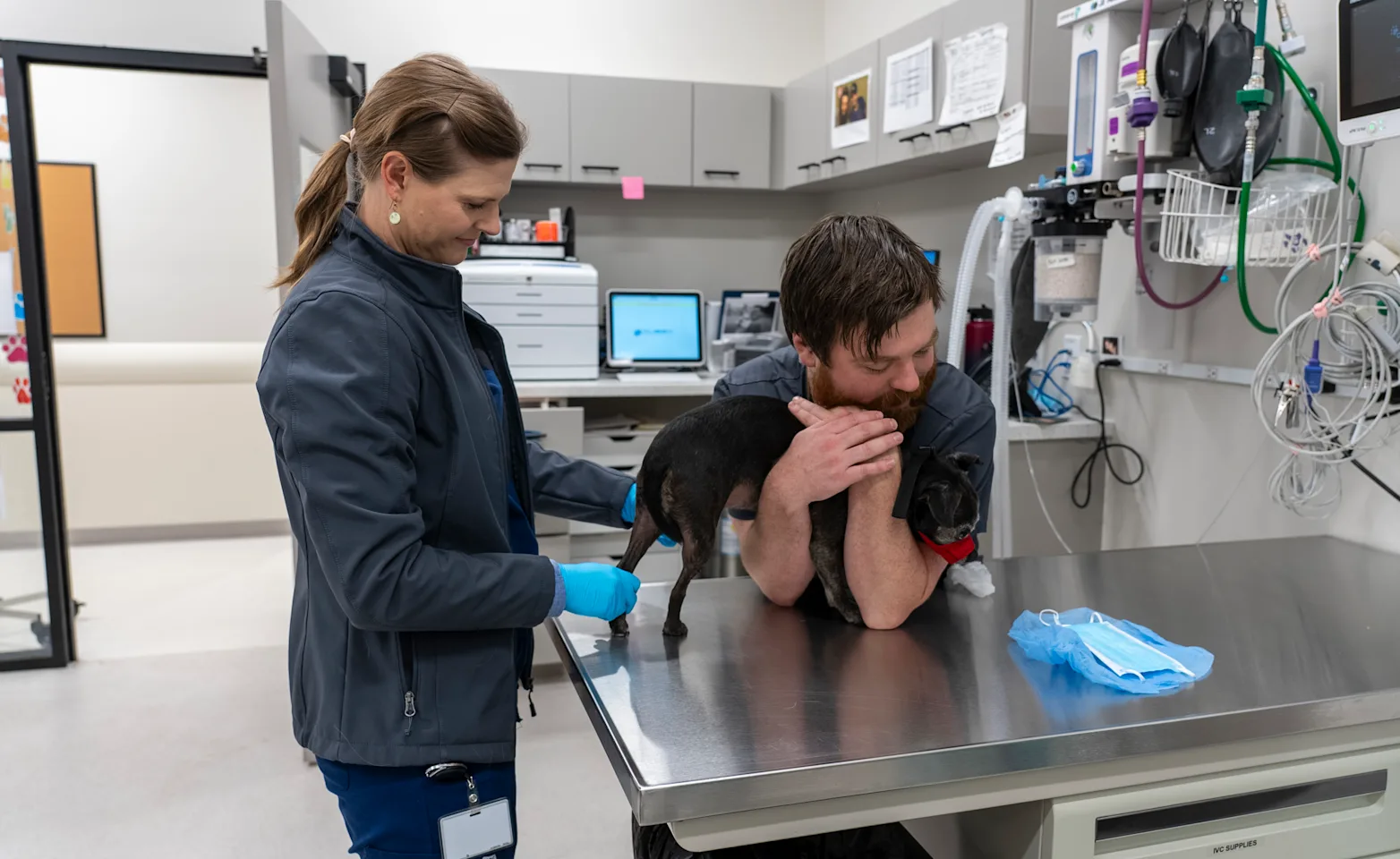 Vets weighing animal on table Vets weighing animal on table