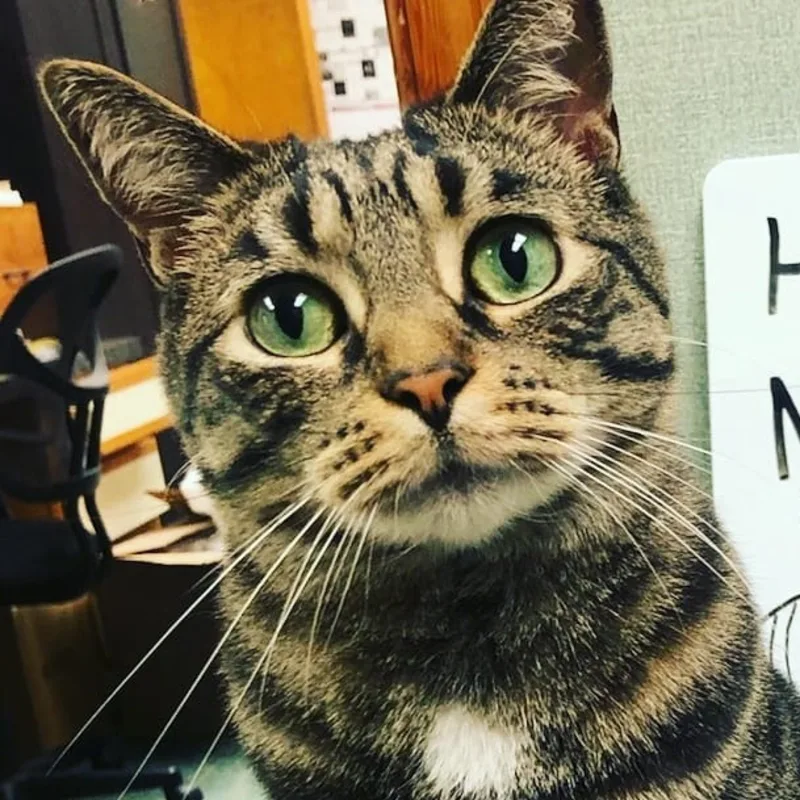 Gary 'Shortie Pie' Johnson Gary 'Shortie Pie' Johnson