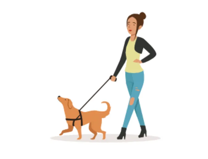 Cartoon illustration of a Woman Walking a Brown Dog