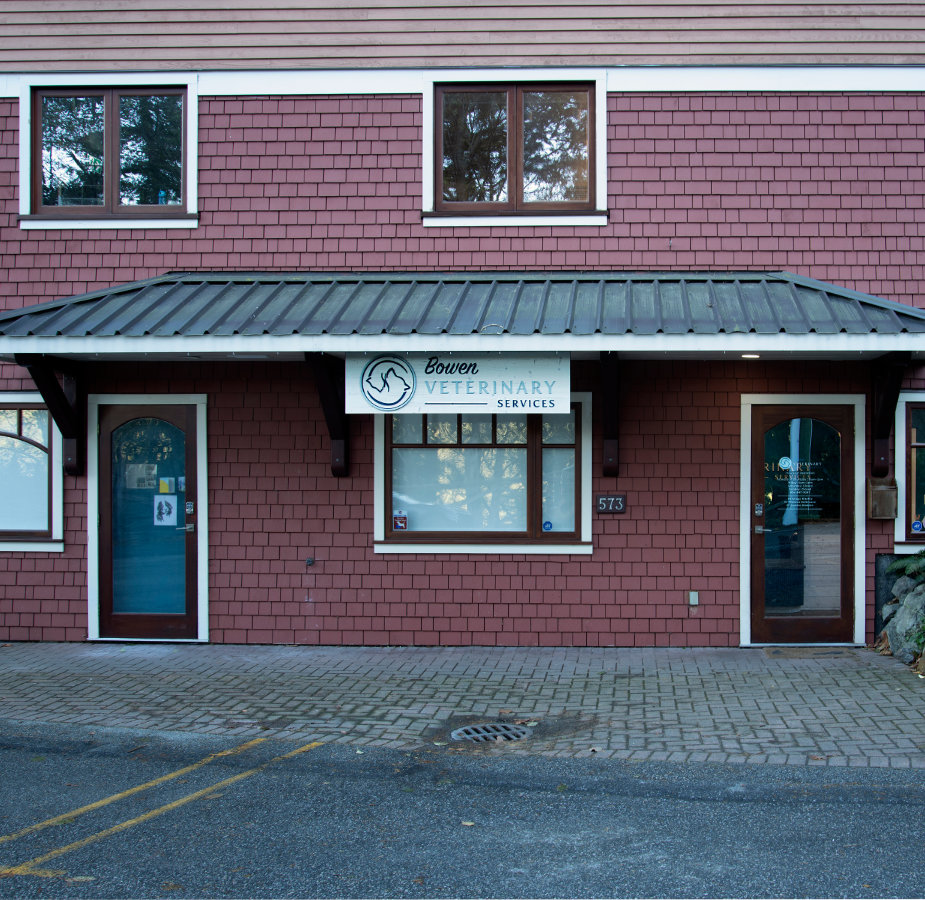 A photo of the exterior of Bowen Veterinary Services 