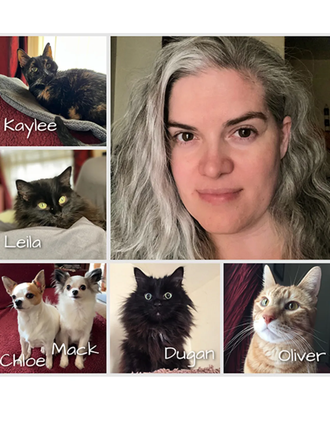 Value Vet's Desiree, with her dogs and cats Value Vet's Desiree, with her dogs and cats
