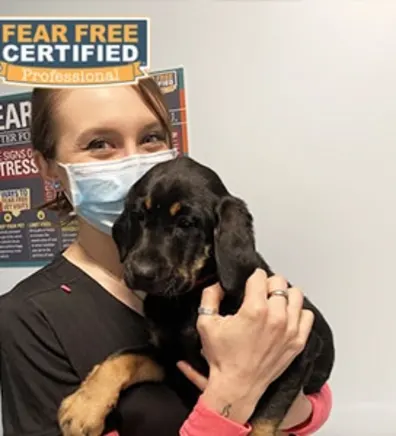 Rhianna holding a puppy Rhianna holding a puppy