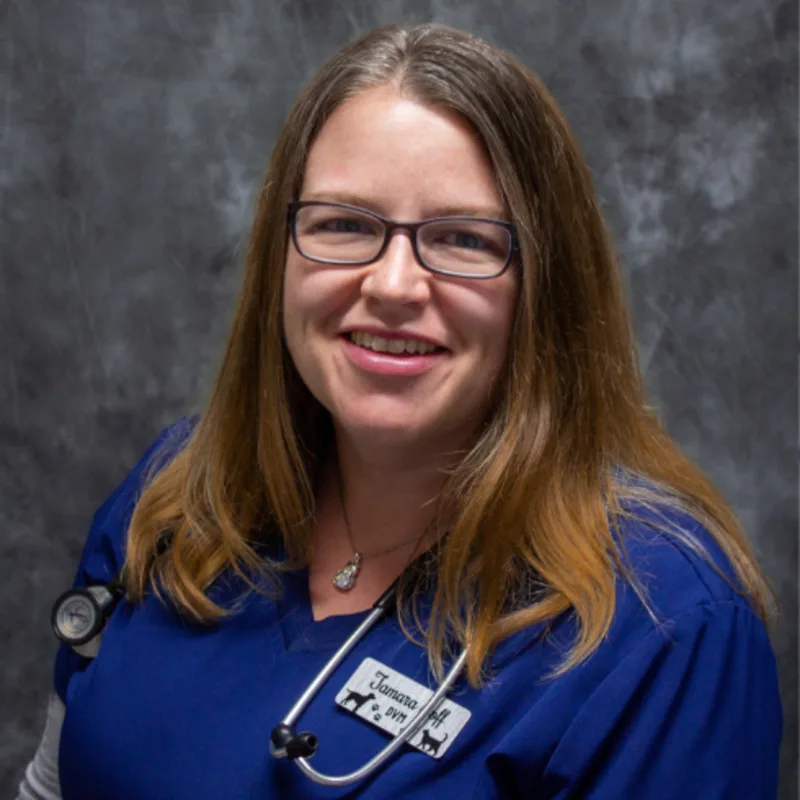 Dr. Tamara Goff Dr. Tamara Goff