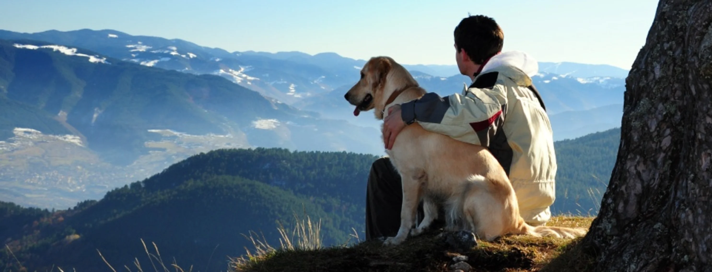 Man with yellow lab looking out at the mountains.