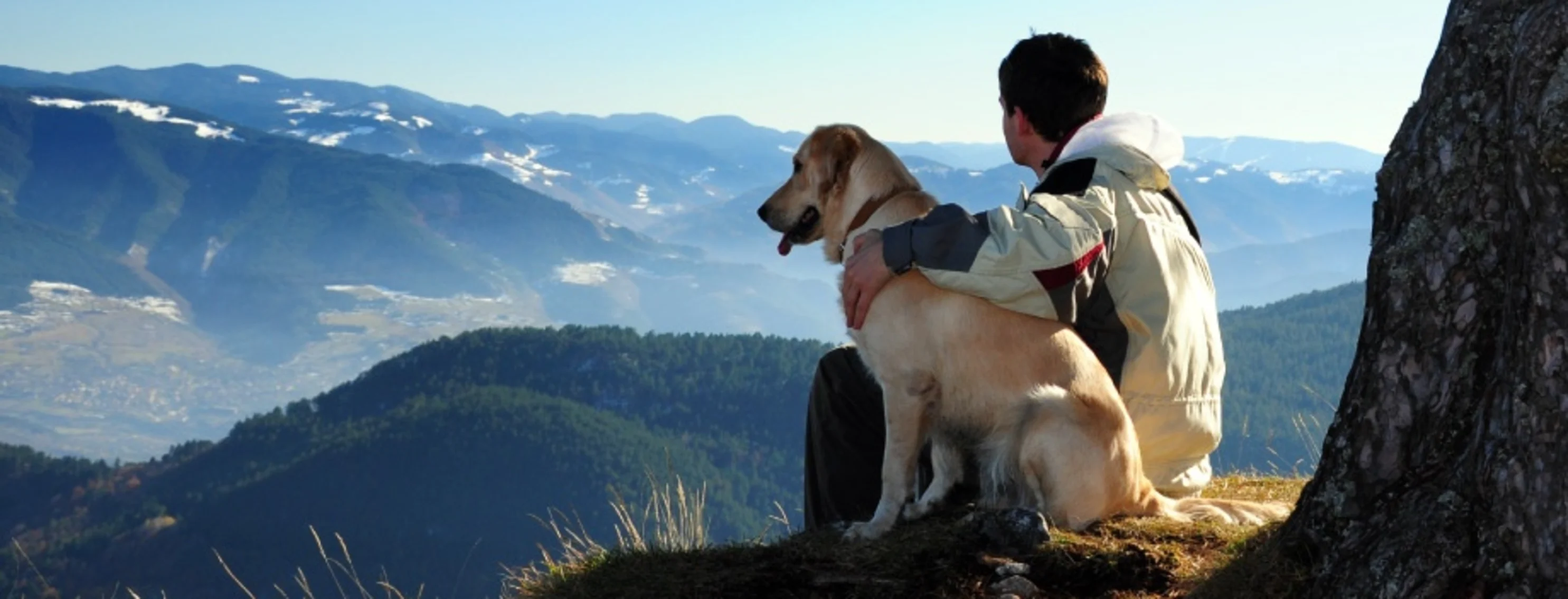 Man with yellow lab looking out at the mountains.