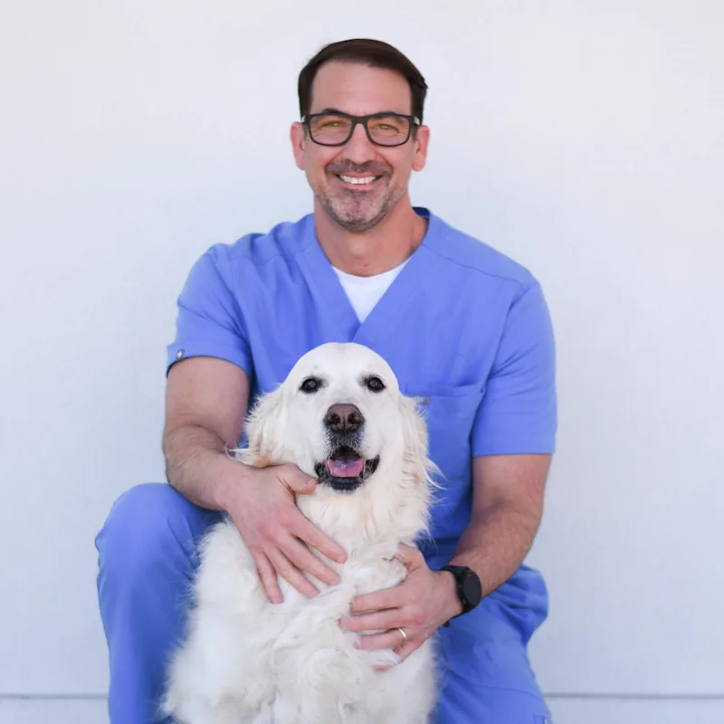 Rene Baumer holding a puppy Rene Baumer holding a puppy