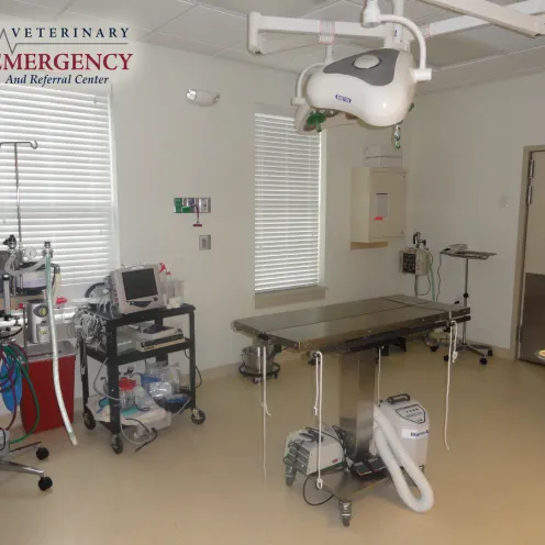 Animal Surgery Room at our facility in Shenandoah Valley
