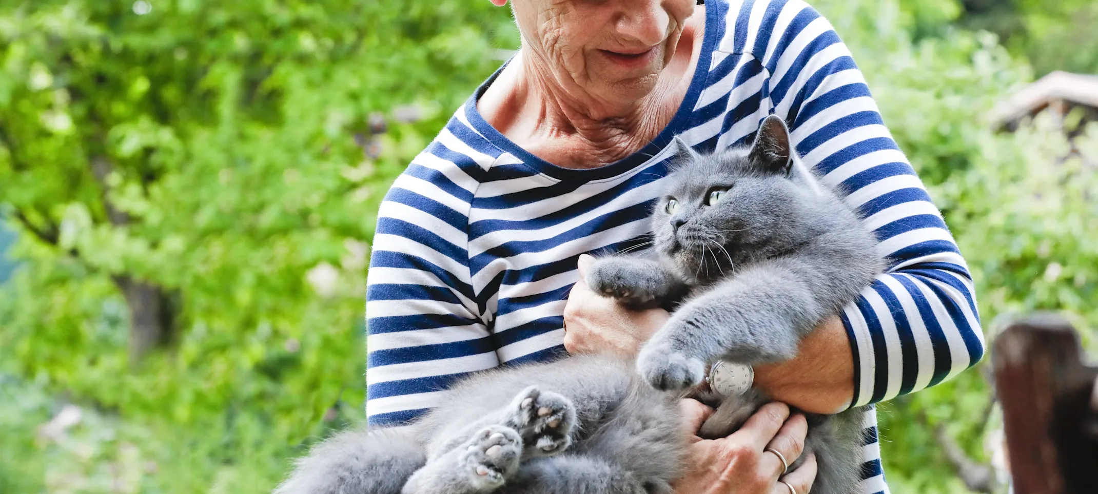 Old lady holding cat Old lady holding cat
