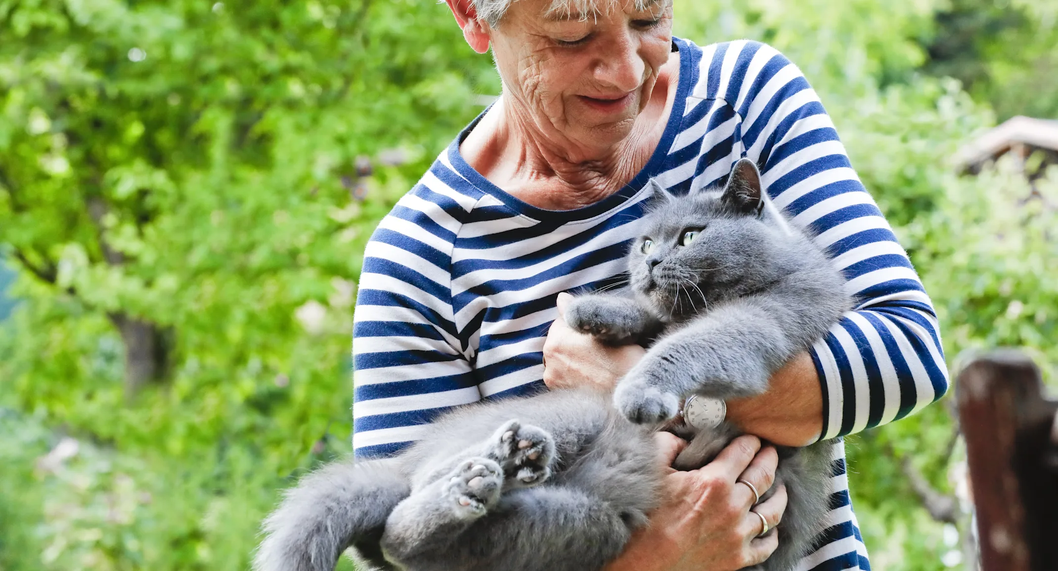 Old lady holding cat Old lady holding cat