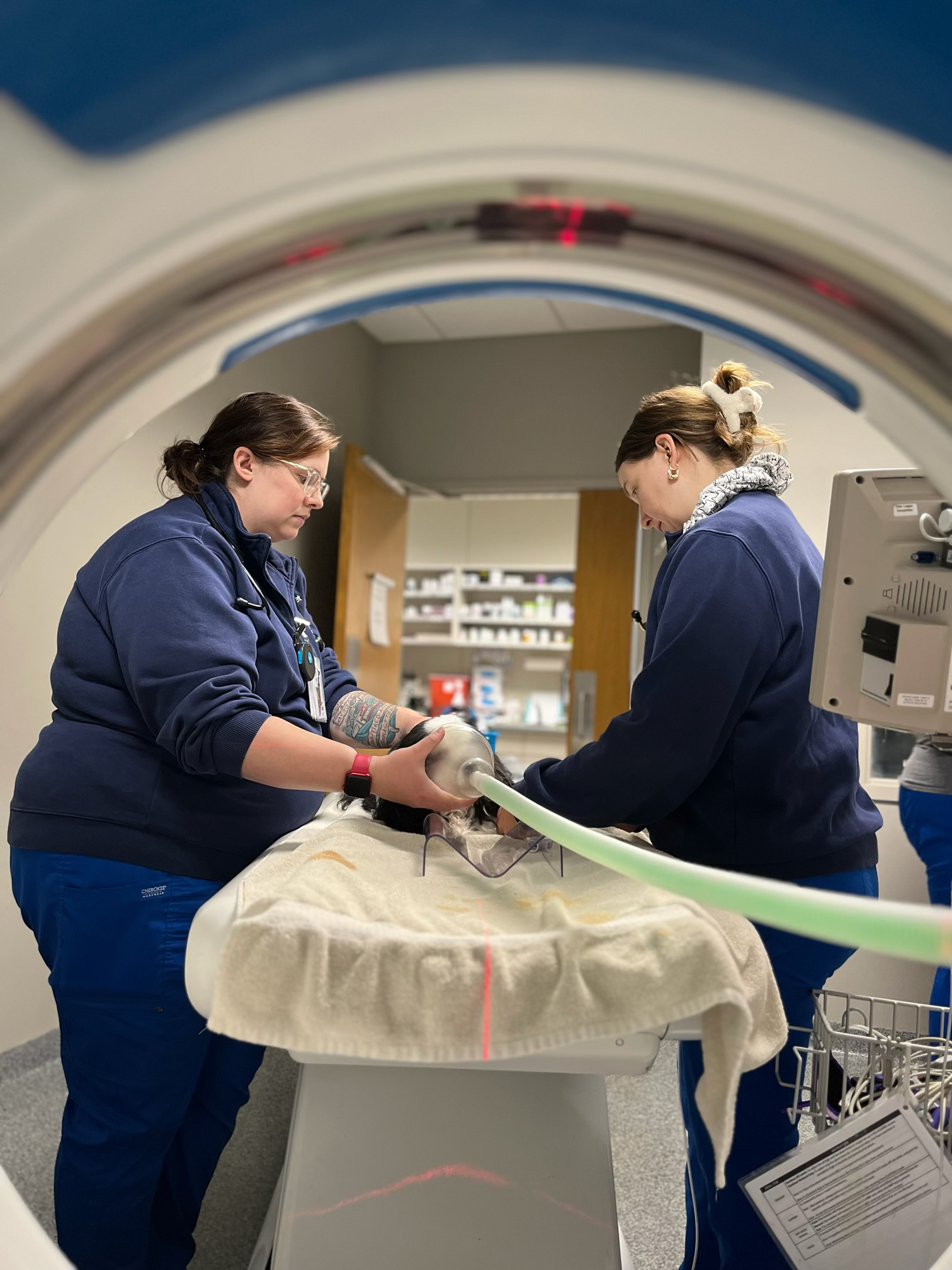 Two veterinarians looking at a CT scan