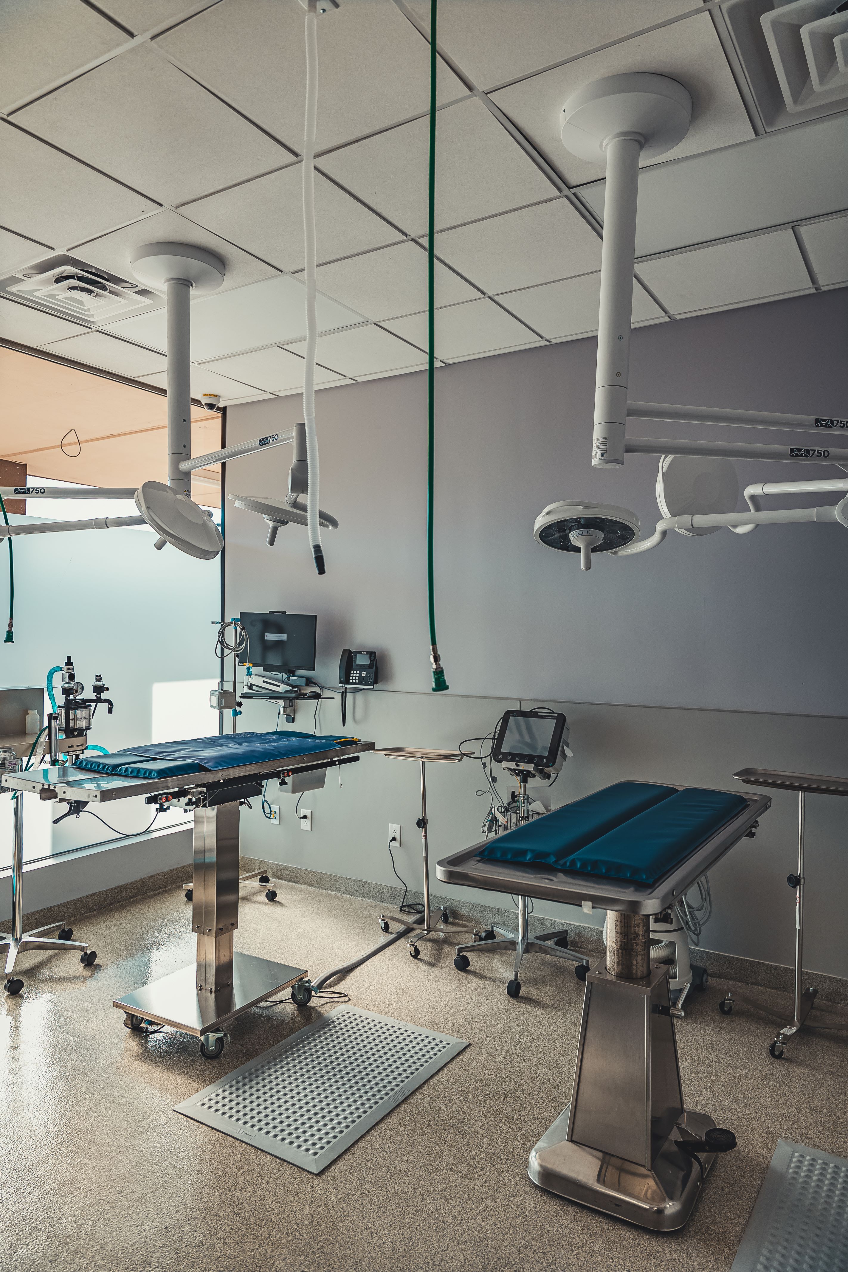 Surgery Suite at ABQ Petcare Hospital 
