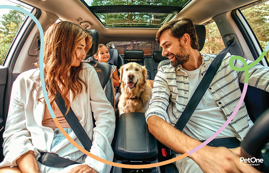 A family and dog sitting in the car seemingly ready for a drive.