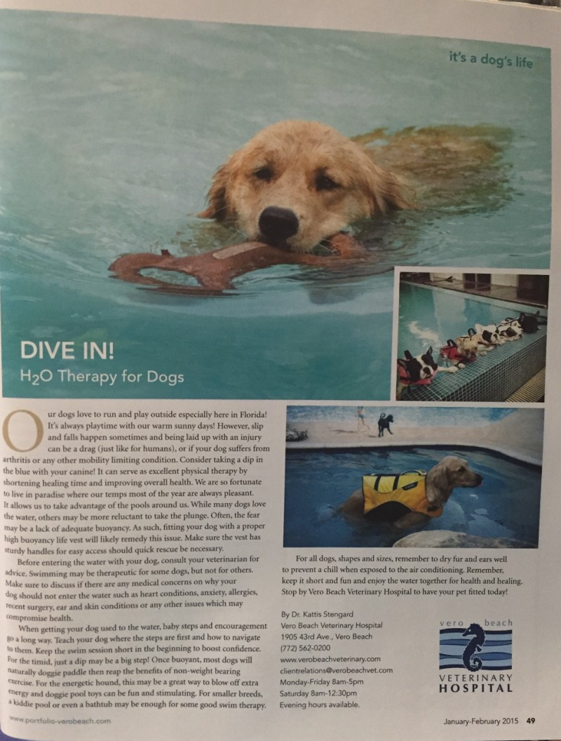 H20 Therapy for dogs article