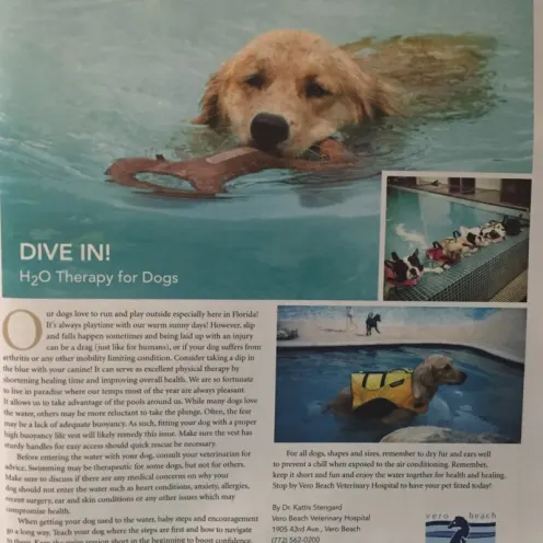 H20 Therapy for dogs article