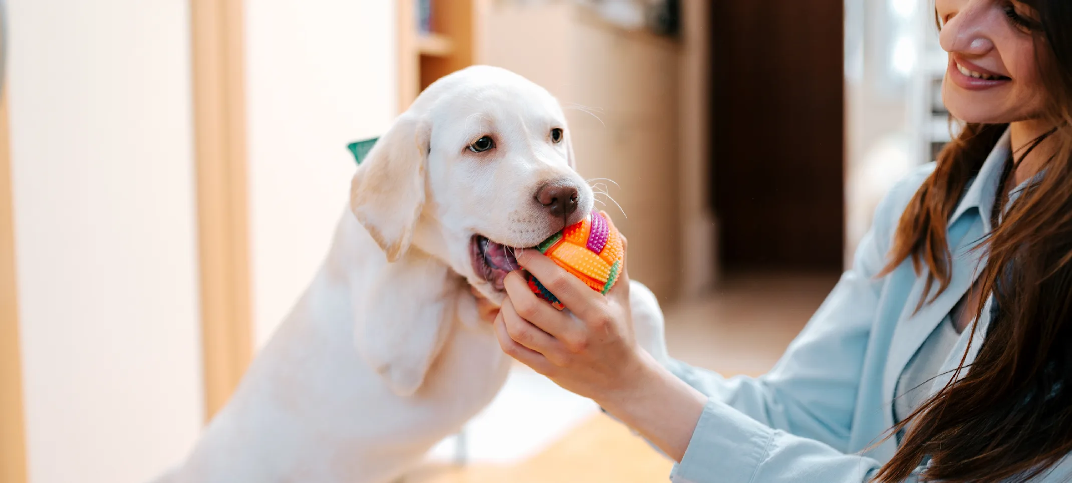 woman playing with puppy