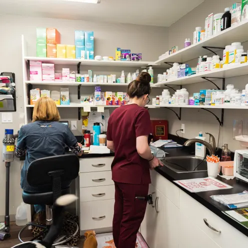 Staff in laboratory area with pharmaceuticals and medicine at The Valley Veterinary Hospital