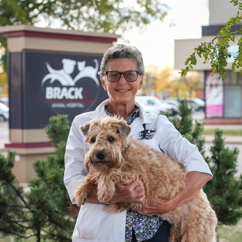 Dr. Darlene House Dr. Darlene House