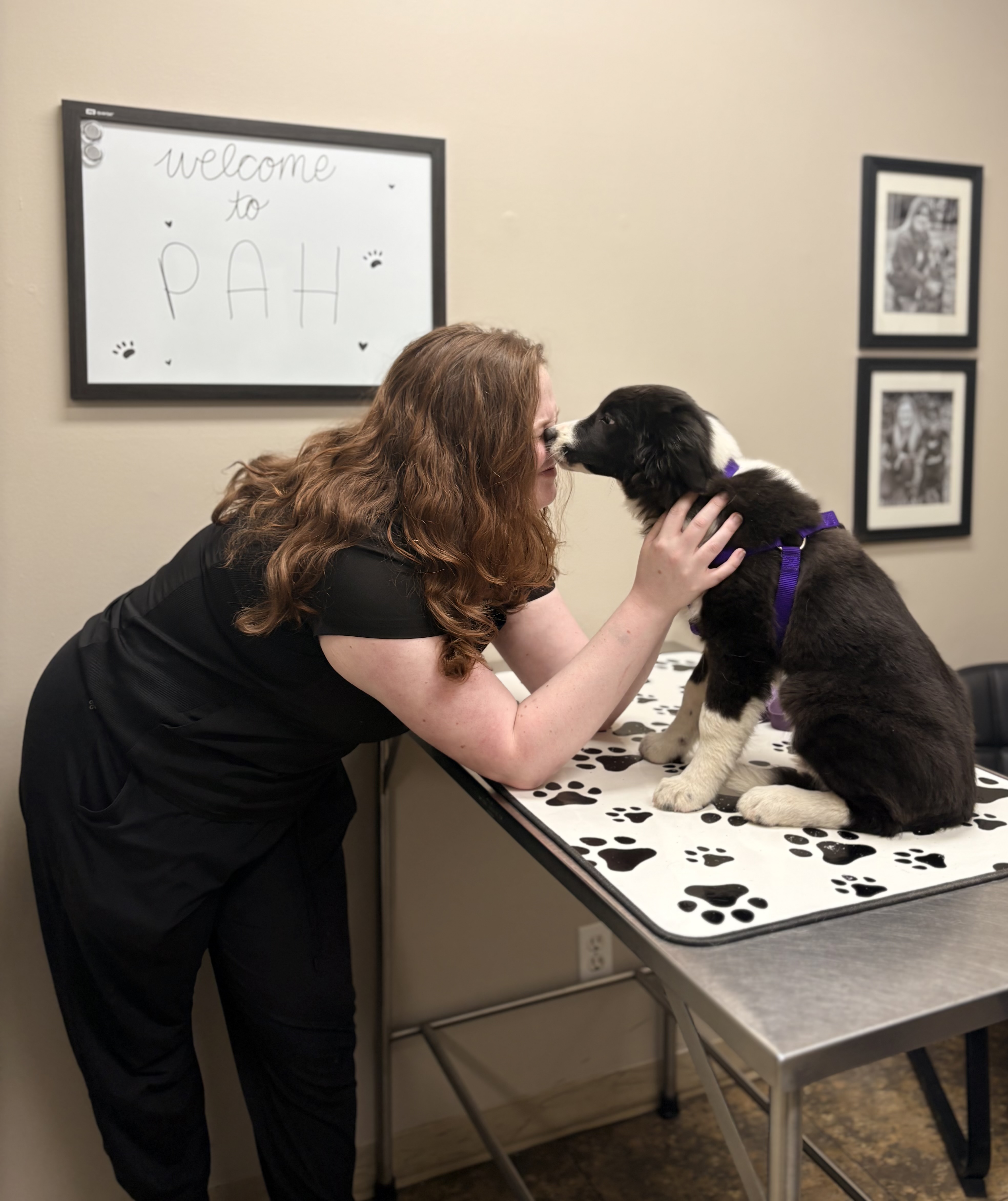 Vet kissing dog