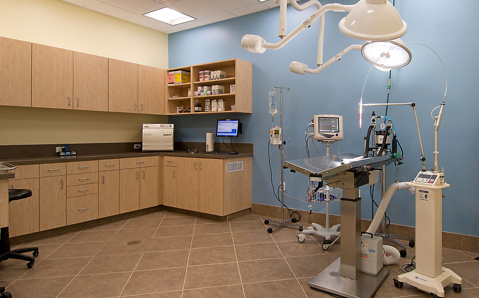 Animal Oasis Veterinary Hospital Surgery