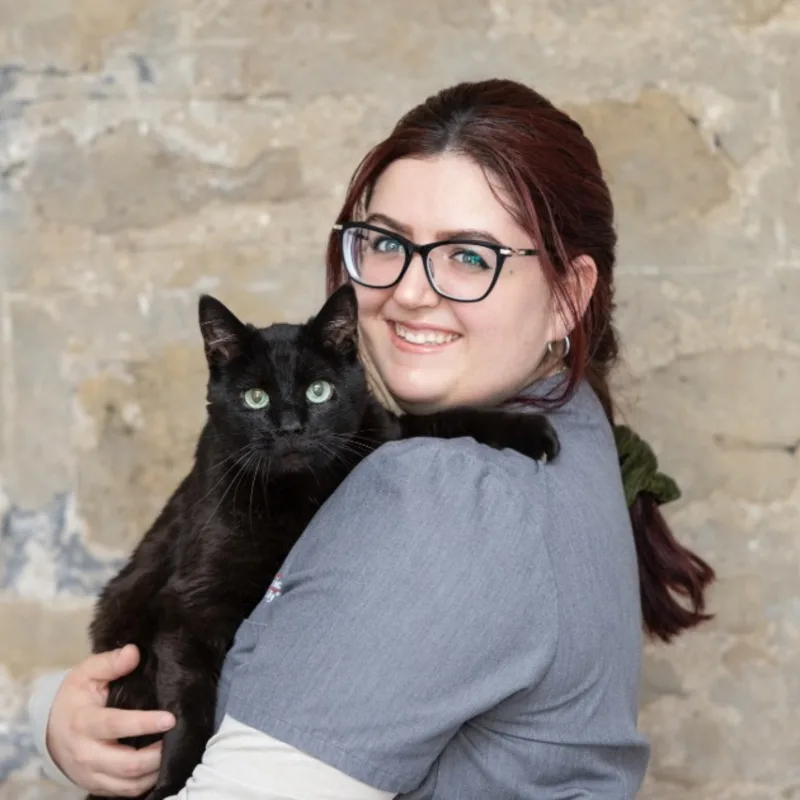 Placeholder picture Placeholder picture