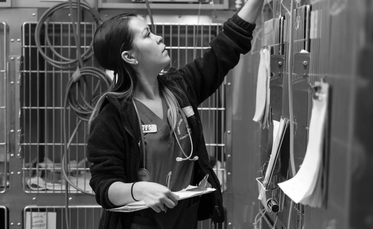 A staff member reaching up A staff member reaching up