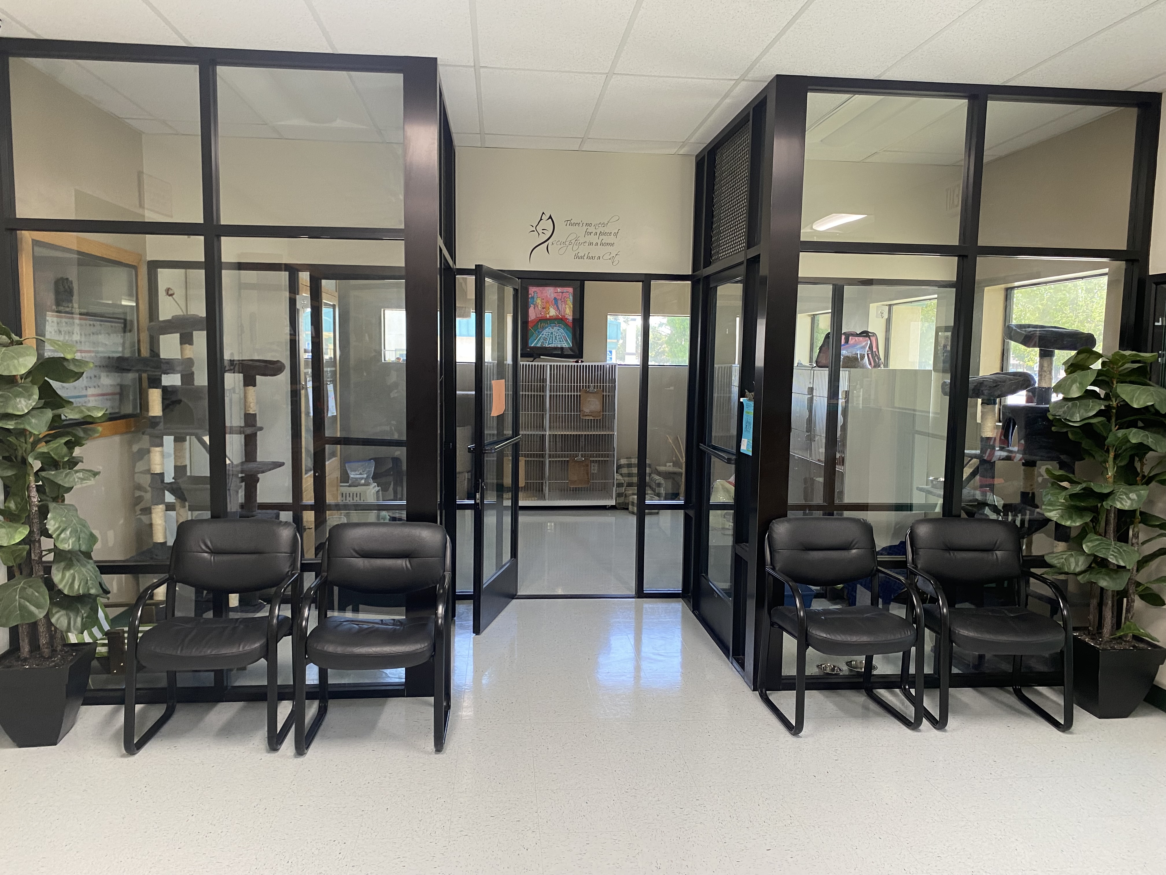 Waiting area at Coffee Road Animal Hospital