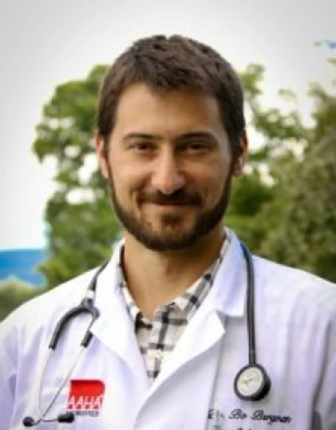 Bo Bergman Bo Bergman