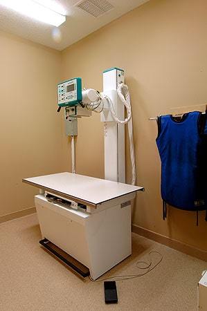 Braden River Animal Hospital Xray