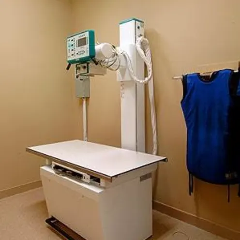 Braden River Animal Hospital Xray Braden River Animal Hospital Xray