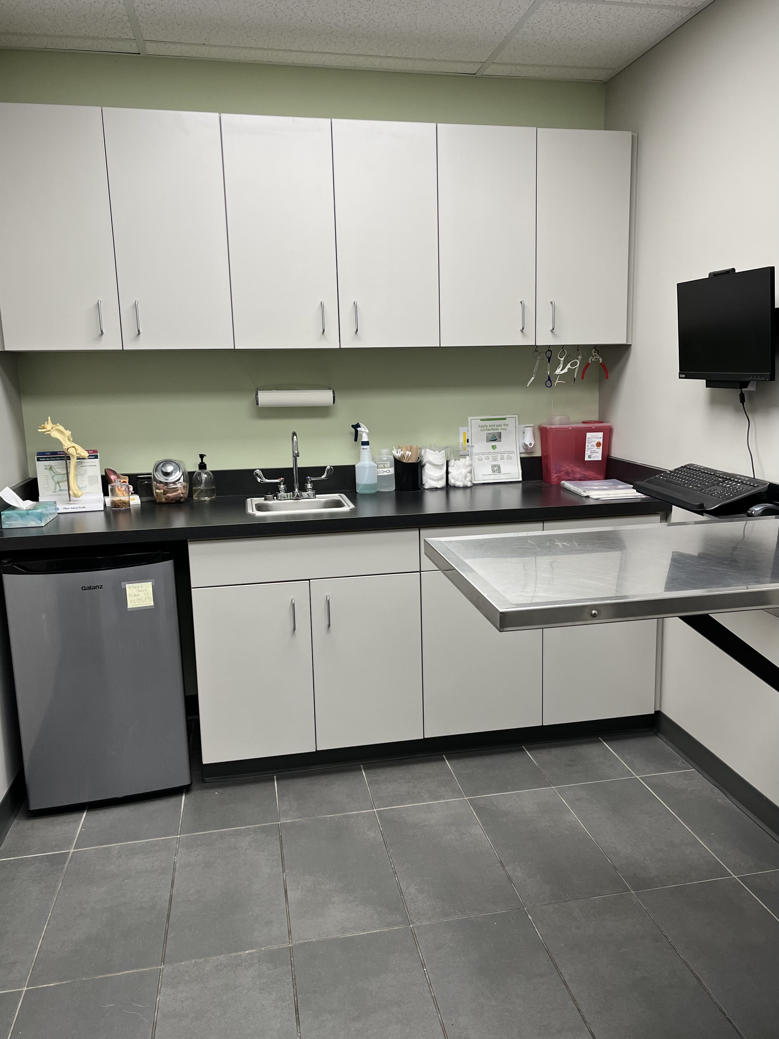 a photo of the fourth exam room at Pet Haven 