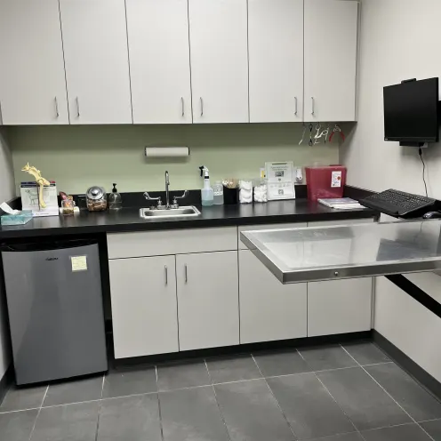 a photo of the fourth exam room at Pet Haven 