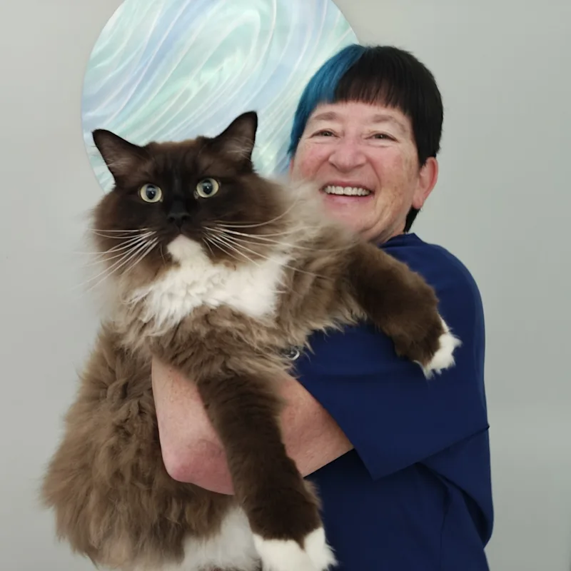 Dr. Lisa Reese Dr. Lisa Reese