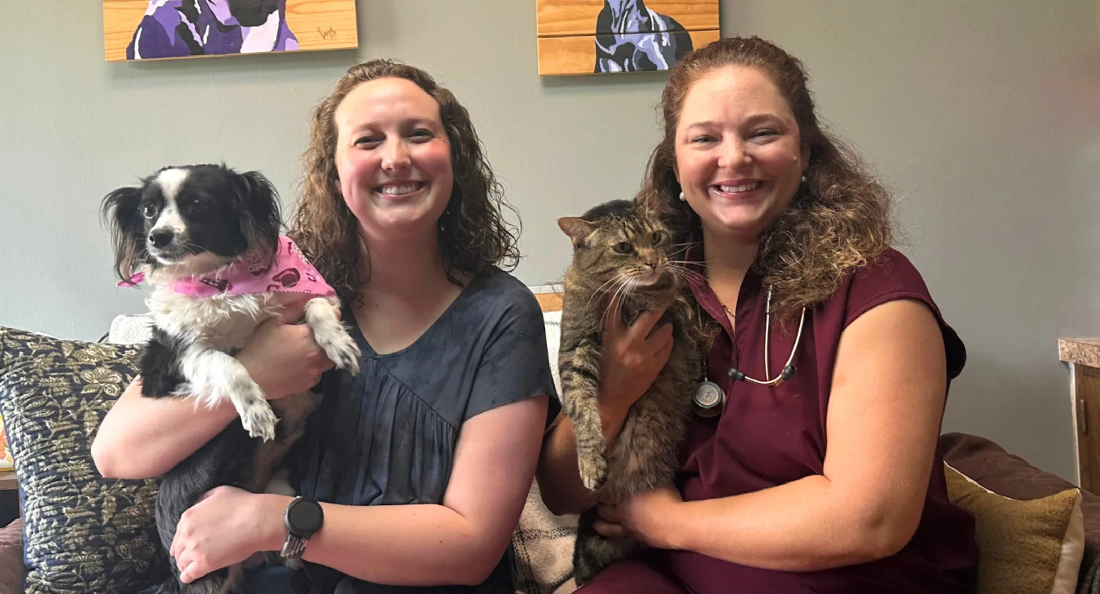 Veterinary Associates doctors join Tulsa prosecutors to fight animal cruelty cases Veterinary Associates doctors join Tulsa prosecutors to fight animal cruelty cases